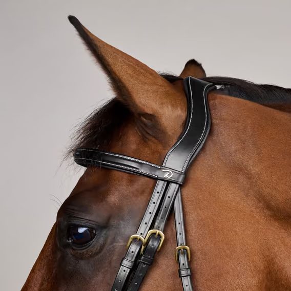 Uzdečka Dy'on Flash Noseband Bridle DY-10002