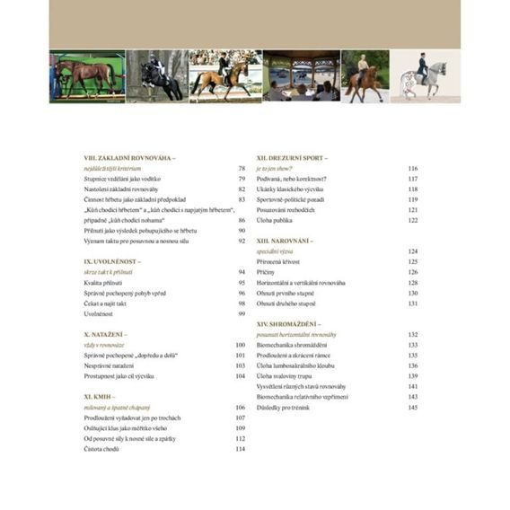 Publ Heuschmann Balanceakt