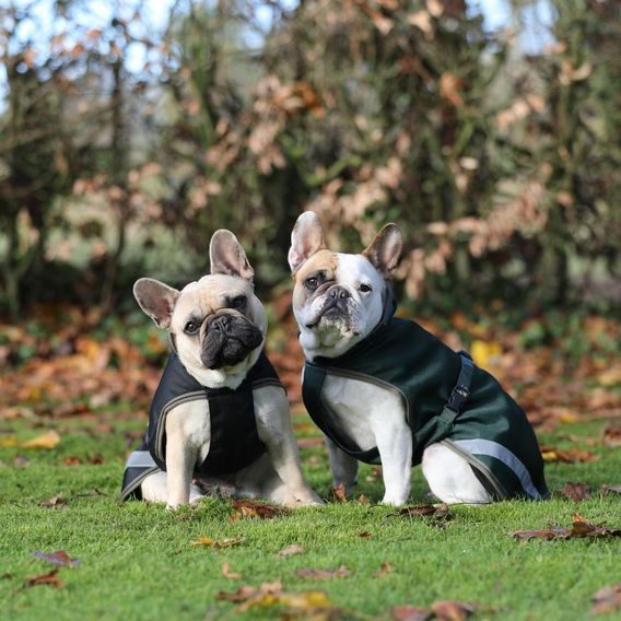 Deka na psa Bucas Freedom 150g Kolekce 2024/25