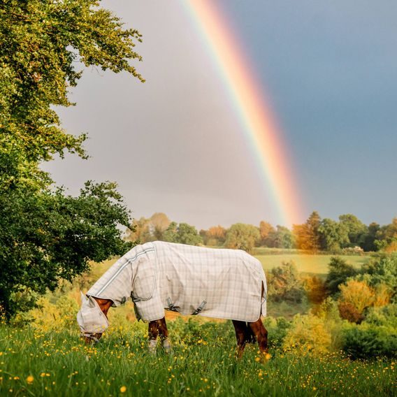 Deka síťovaná Horseware Newmarket Plus Fly Sheet