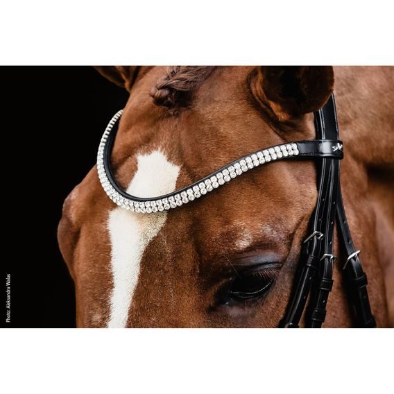 Uzdečka Schockemöhle SP Valencia švédský nánosník