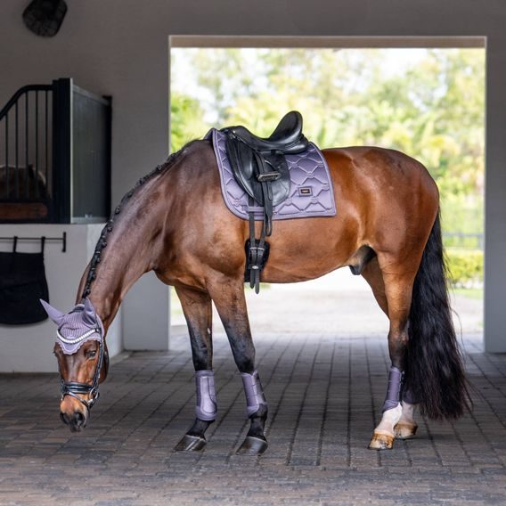 Podsedlová dečka Equestrian Stockholm Dark Violet Kolekce 2025/26