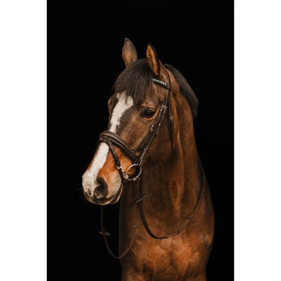 Uzdečka Cassini Stone s otěžemi švéd. nán.