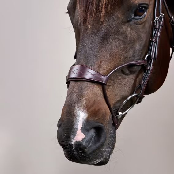 Uzdečka Dy'on Hybrid Noseband NEABA7
