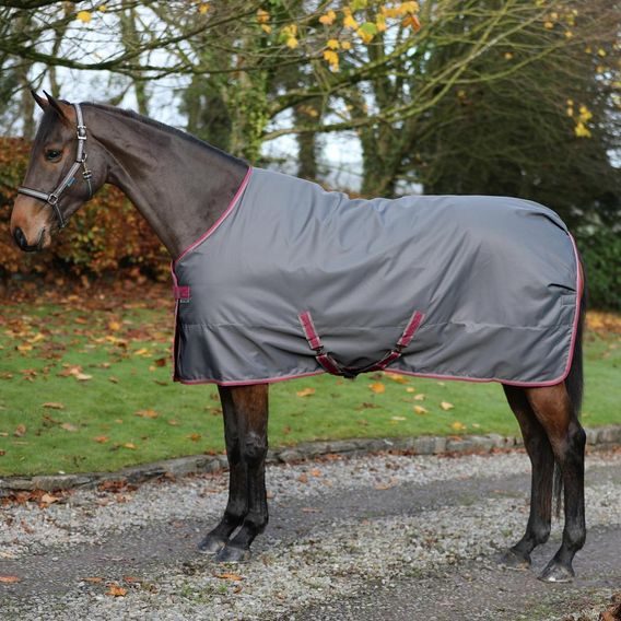 Deka stájová termo Bucas Freedom 300g Kolekce 2025/26