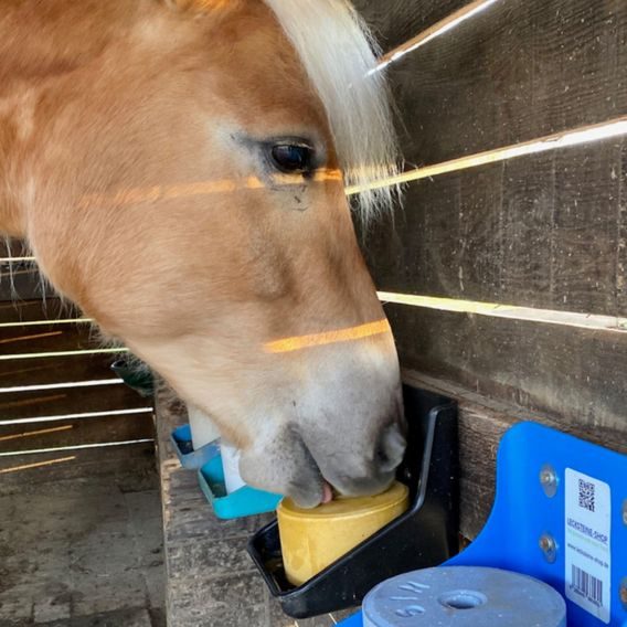 Solný bar BYLINKY 4ks 12kg