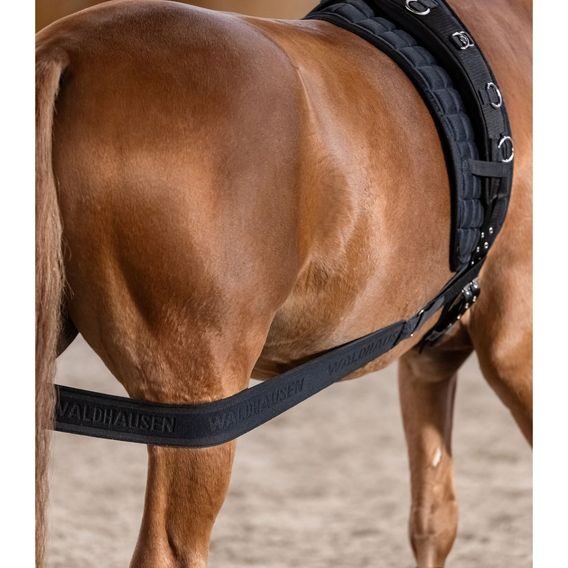 Body bandage na lonžování W