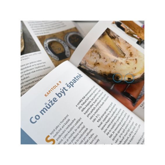 Publ Podkování moderního koně Kraus&Navarra