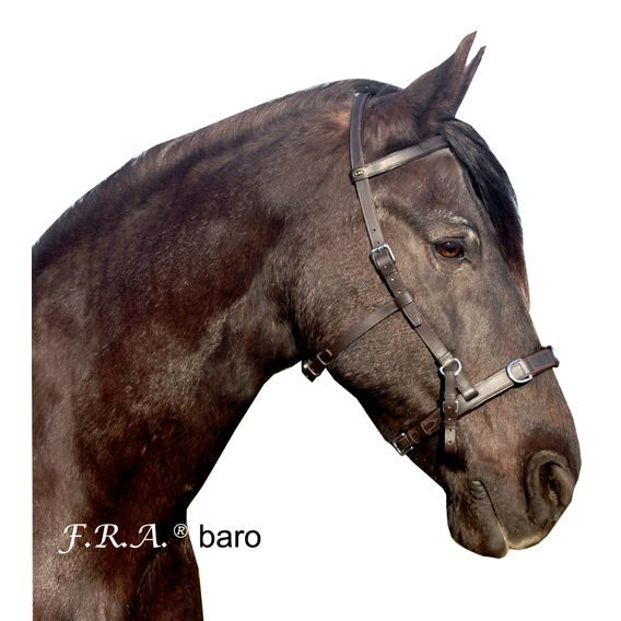 Lonžovací obnosek/uzdečka F.R.A. Baro