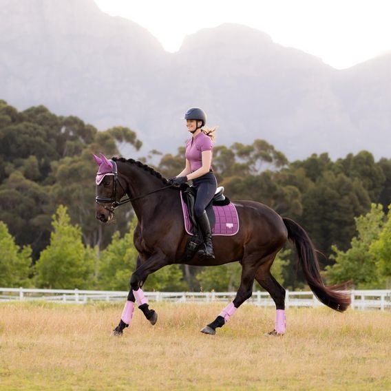Podsedlová dečka LeMieux Loire Classic Square Kolekce 2026