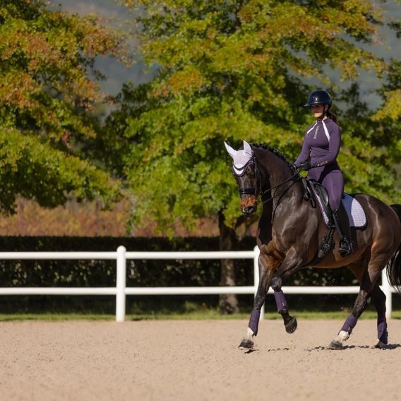 Podsedlová dečka LeMieux Suede Square Lilac Kolekce 2025/26