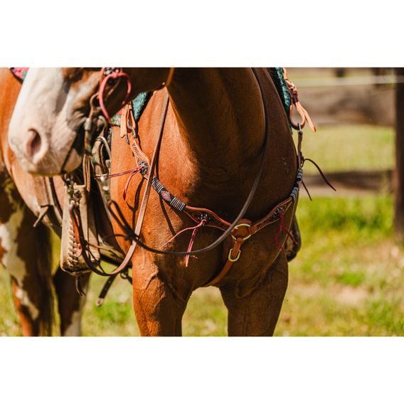 *W* Uzdečka a poprsník Cassini Beads