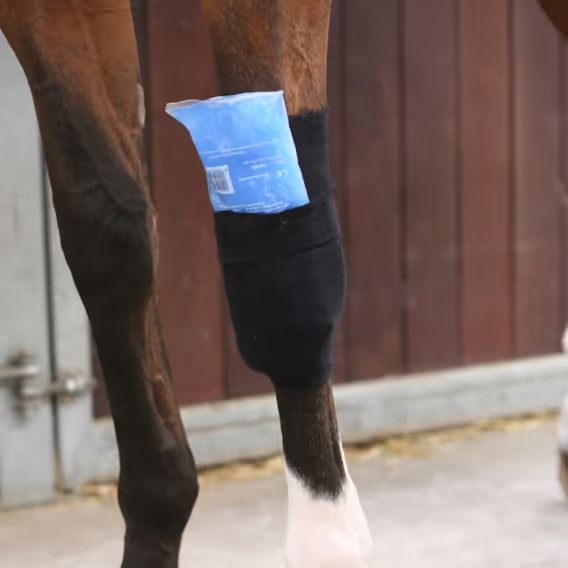 Bandáž Kentucky Grip