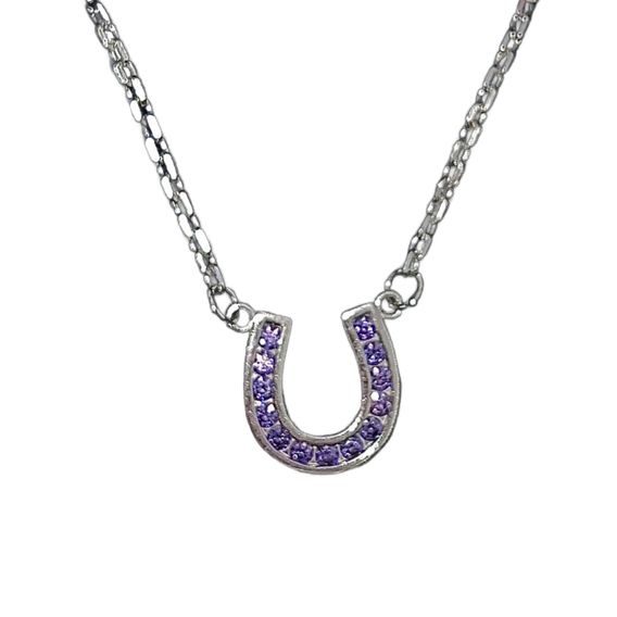Náhrdelník podkova obrácená z pravého stříbra Fialový CZ