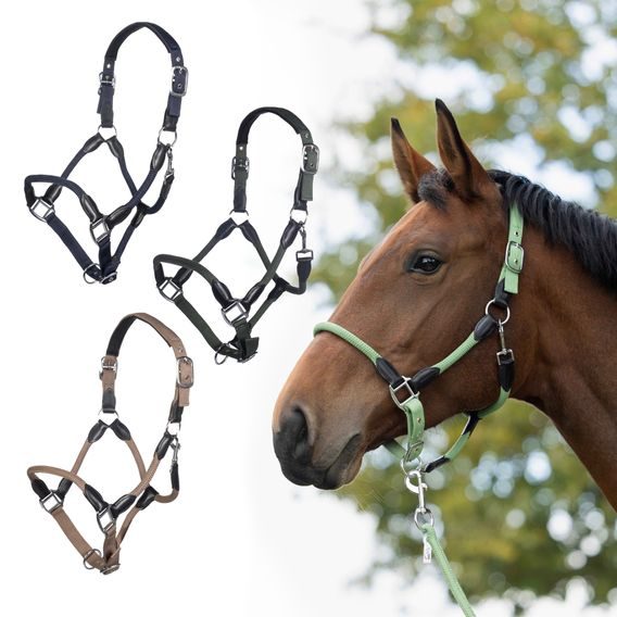 Ohlávka HKM Carlotta