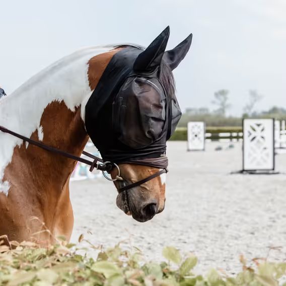 Maska na hlavu Kentucky Slim Fit