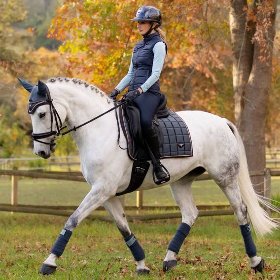 Podsedlová dečka LeMieux Loire Satin Classic Petrol Kolekce 2024/25