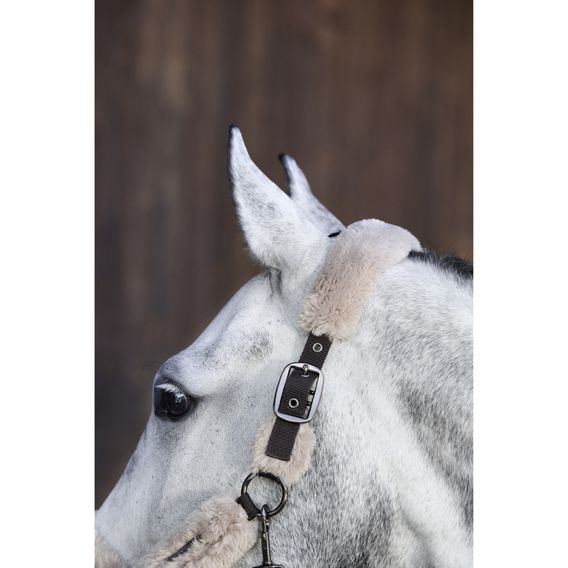 Ohlávka Eskadron Platinum Double Pin FF Complete Kolekce 2024/25