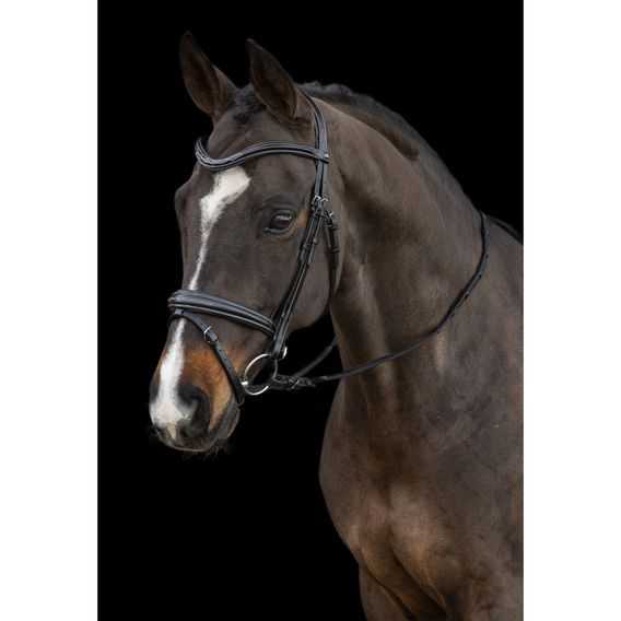 Uzdečka Schockemöhle Monza angl.komb.nánosník