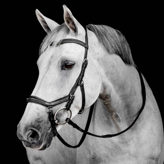 Uzdečka Horseware Micklem Deluxe Competition