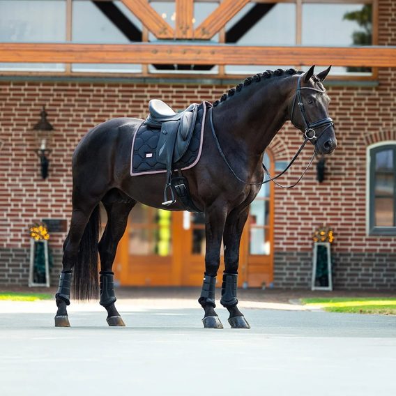 Podsedlová dečka Equestrina Stockholm Black Blush Kolekce 2026/27