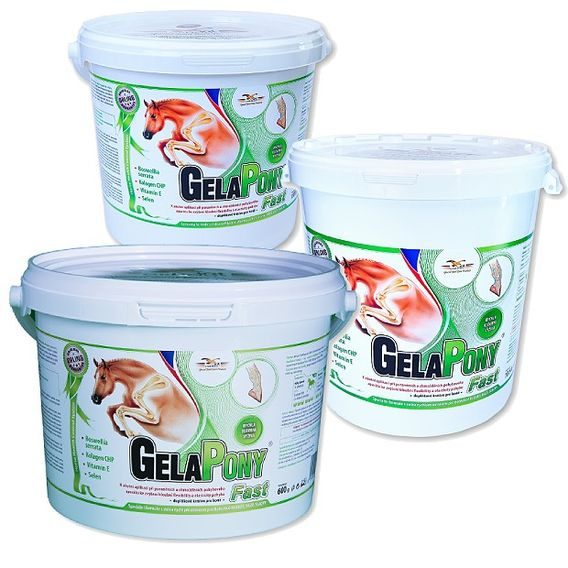 Gelapony Fast DOPRODEJ