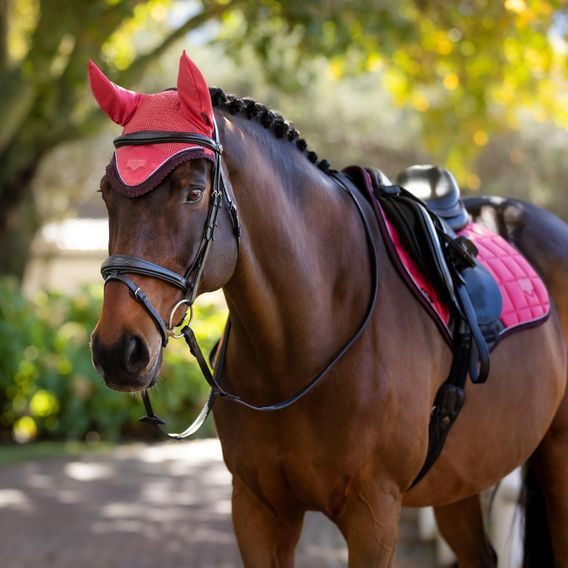 Čabraka na uši LeMieux Loire Satin Cranberry Kolekce 2025/26