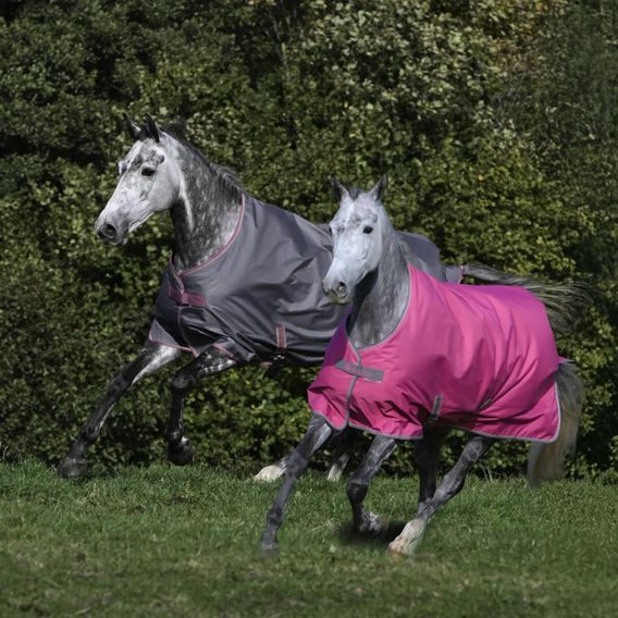 Deka výběhová termo Bucas Freedom 300g Kolekce 2025/26