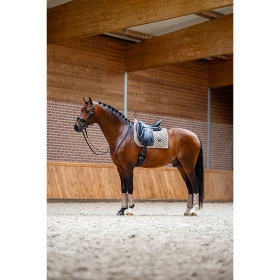 Podsedlová dečka Equestrian Stockholm Modern Sand Kolekce 2026