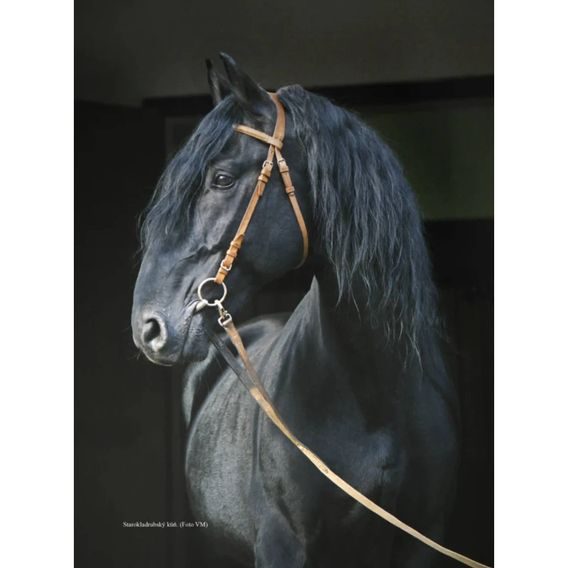 Publ doc. Ing. Miroslav Maršálek, CSc. - Praktický chov koní