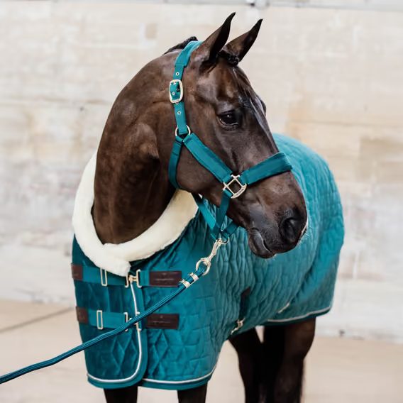Deka stájová termo Kentucky Show rug Velvet 150g/160g