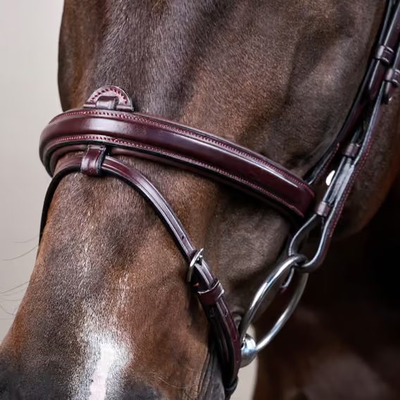 Uzdečka Dy'on Flash Noseband Bridle NEAAAA