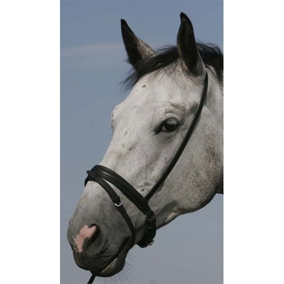 Nánosník Equiservis drezurní švédský DOPRODEJ