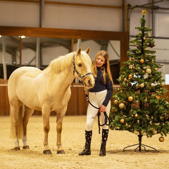 Ohlávka nylon QHP Christmas