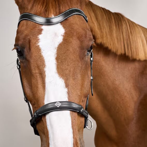 Uzdečka Dy'on Bitless WO