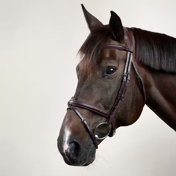 Uzdečka Dy'on Flash Noseband Bridle NEAAAA
