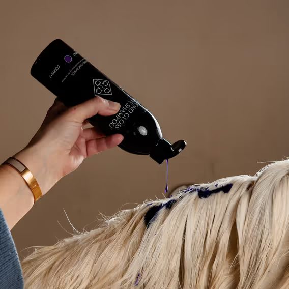 Šampon Grooming Deluxe Purple Almond