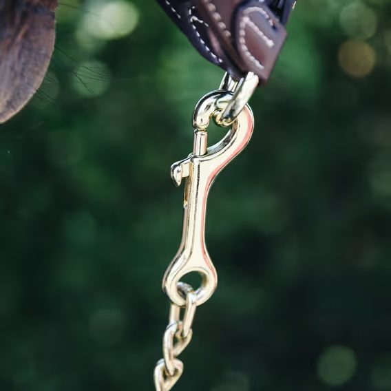 Řetízek k vodítku Kentucky Stallion Chain