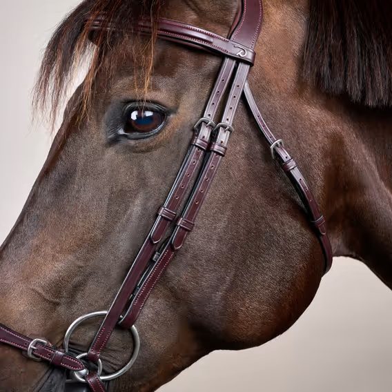 Uzdečka Dy'on Adjustable Drop Noseband NEAAAE