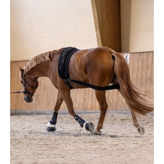 Body bandage na lonžování W