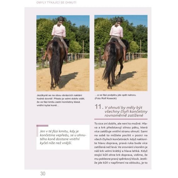 Publ Welter-Böller, Welter, Weigand 50 nejčastějších omylů při výcviku koní