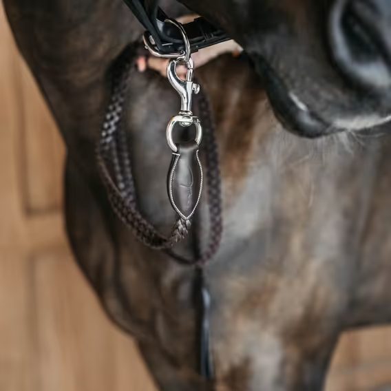 Vodítko kožené Dy'on Working Plaited