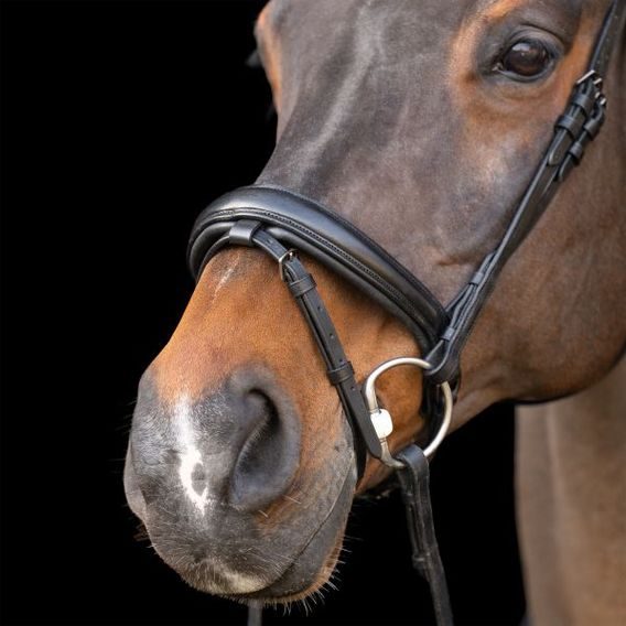 Uzdečka Imperial Riding Snaffle Rhinestone