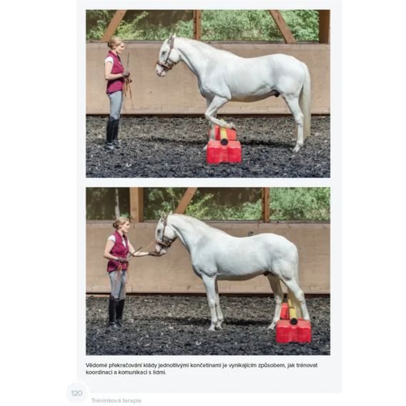 Publ Möller Weingand Tréninková terapie DOPRODEJ