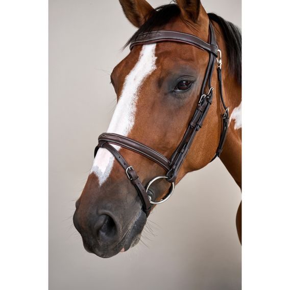 Uzdečka Dy'on Flash Noseband With Snap Hook WOJBHA