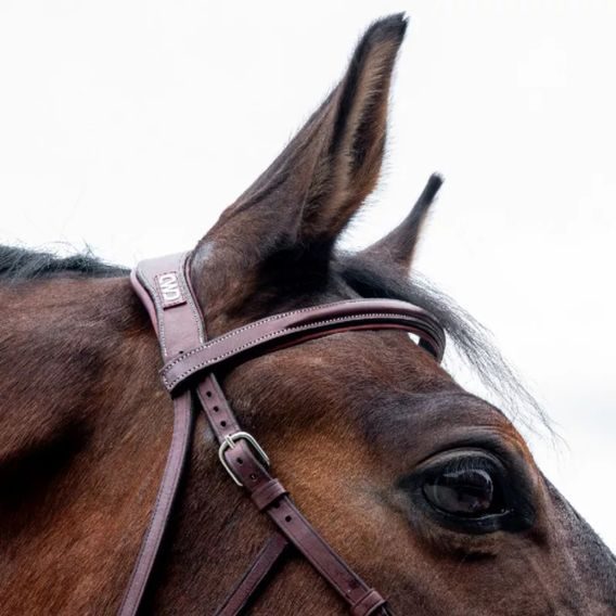 Uzdečka CWD Hackamore BR20HAC