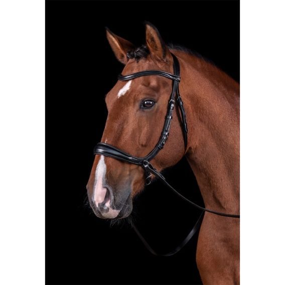 Uzdečka Schockemöhle Equitus Theta anatomická DOPRODEJ