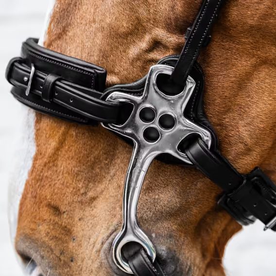 Speciální udidlo Hackamore Dy'on NE-14001