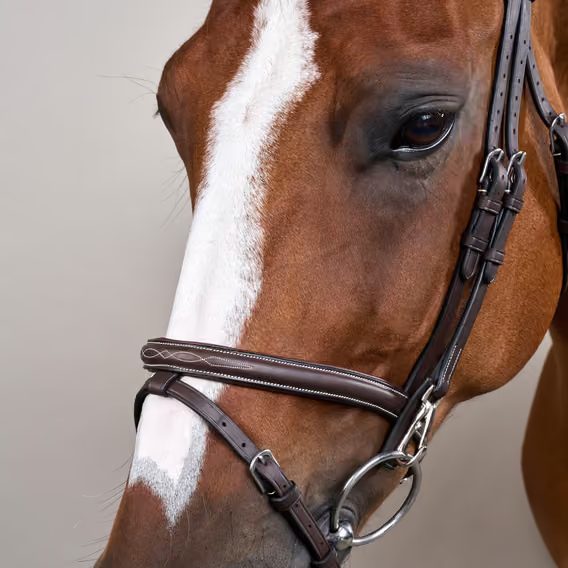 Uzdečka Dy'on Flash Noseband Bridle with Snap Cheekpieces WOAPGB