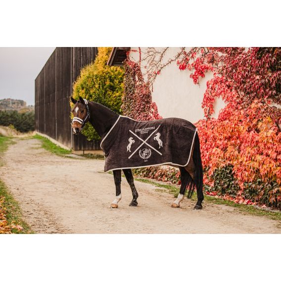 Deka odpocovací Eskadron Dralon Heritage